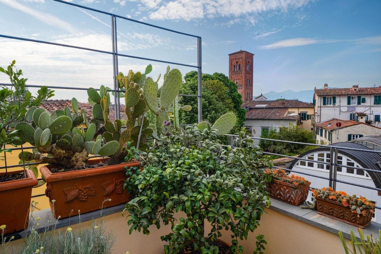 My Guesthouse Lucca Exterior photo